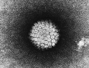 HPV: Ο ύπουλος ιός που έχει μολύνει περισσότερους από τους μισούς άνδρες